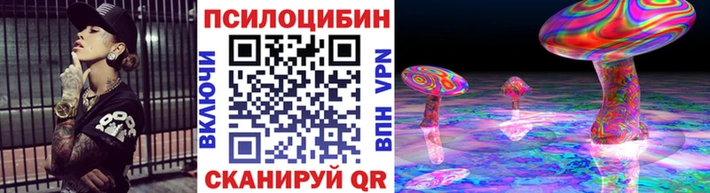 Псилоцибиновые грибы MAGIC MUSHROOMS  как найти закладки  Камешково 